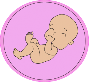 fecundación in vitro bebe en útero