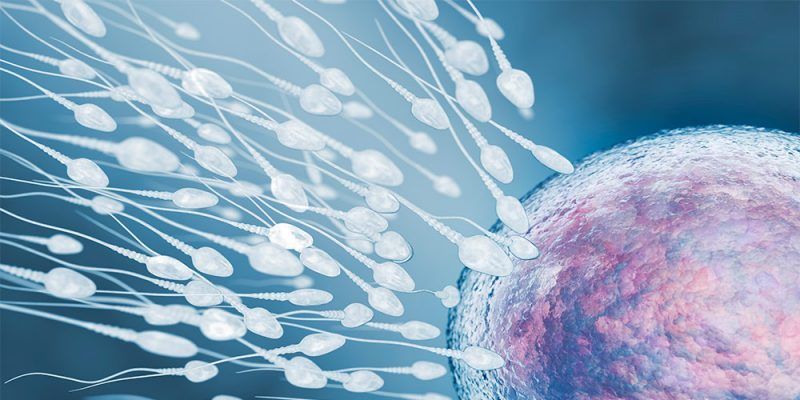 Inseminación Artificial