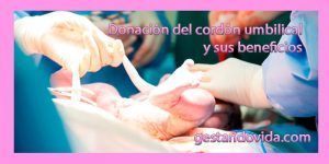 cordón umbilical