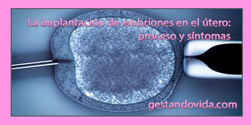 La implantación de embriones en el útero