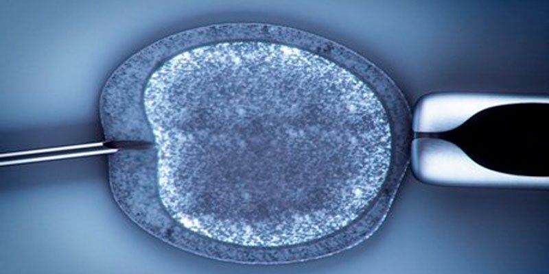 La implantación de embriones en el útero: proceso y síntomas ...