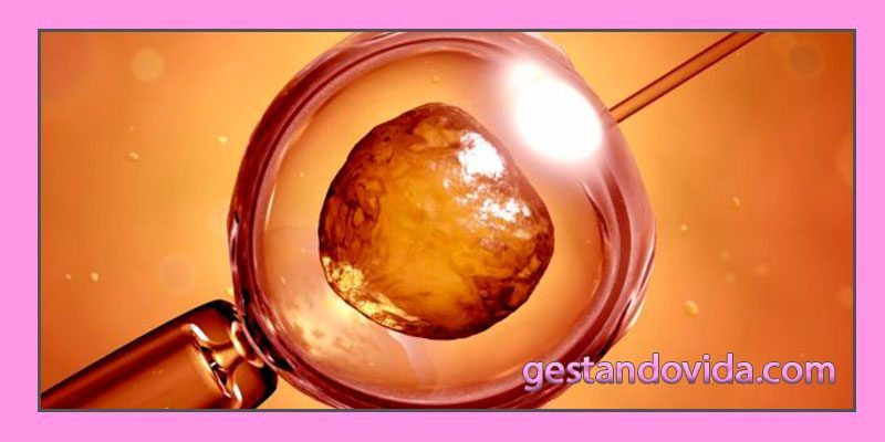éxtio en la fecundación in vitro