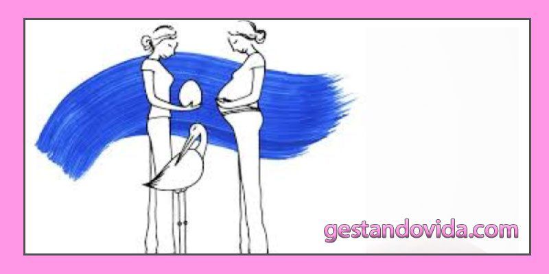 el acto de la donación de óvulos